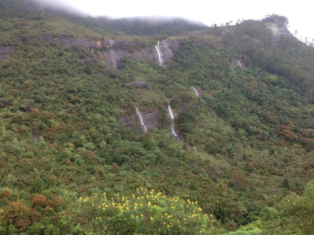 Protect Nature Sri Lanka Adams Peak