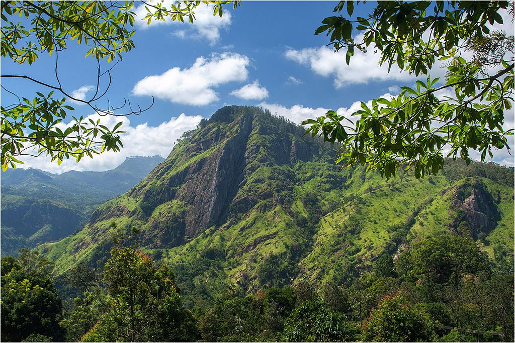 Ella Rock From Little Adams Peak